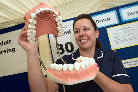 Photo of dental nurse holding a large model set of teeth.